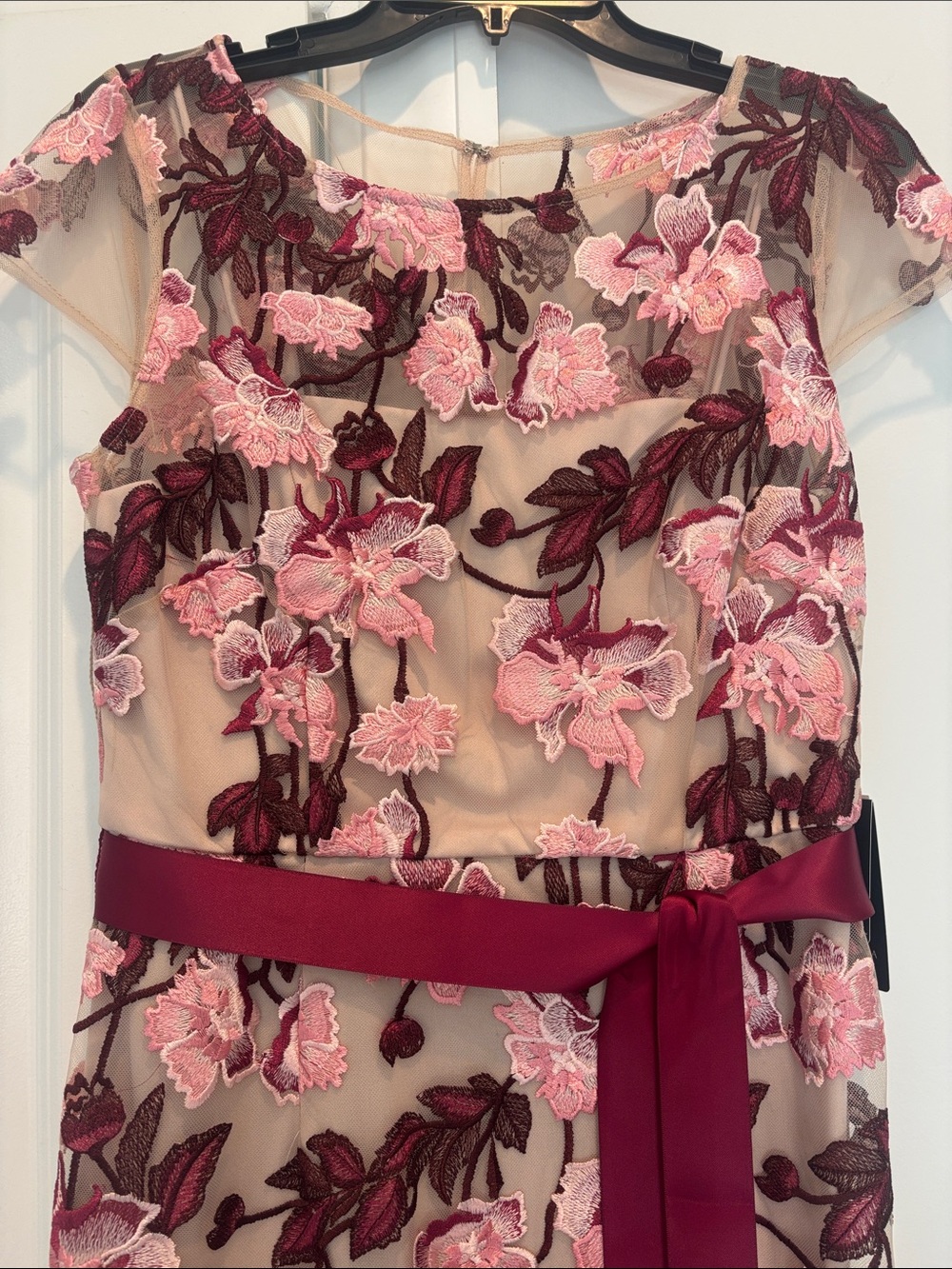 Adrianna Papell Blush Maxi Dress with Pink and Burgundy Floral Embroidery - Picture 3 of 4